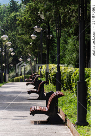 Park benches in Vake park Park benches in Vake park 134970665