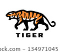 Wild cat. Tiger logo. 134971045