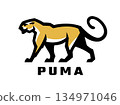 Wild cat. Puma logo. 134971046
