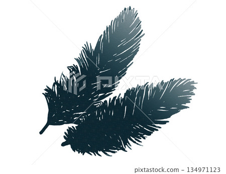 鳥翼輪廓 134971123