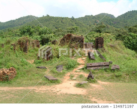 越南美山遺址之旅 越南美山遺址之旅 134971197