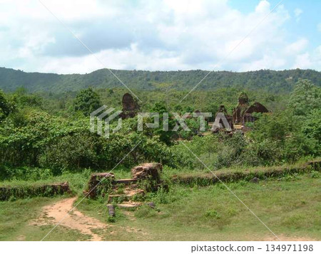 My Son ruins trip in Vietnam 134971198