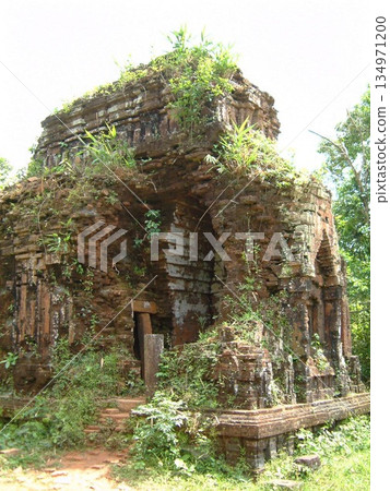 My Son ruins trip in Vietnam 134971200