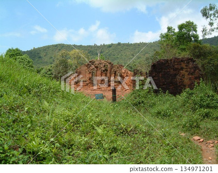 My Son ruins trip in Vietnam 134971201