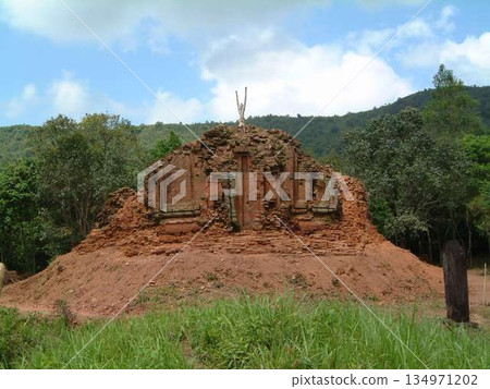 越南美山遺址之旅 134971202