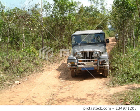 My Son ruins trip in Vietnam 134971205