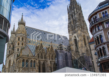 St. Stephen's Cathedral (Austria - Vienna) St. Stephen's Cathedral (Austria - Vienna) 134971301