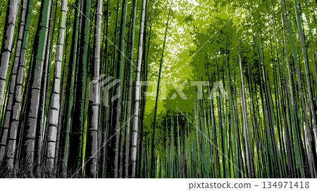 綠竹林，陽光透過樹葉灑下，自然風光，日式庭園 134971418