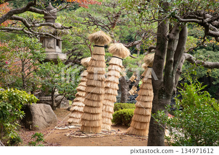 迎接冬季，古河花園舊址準備：稻草小麵包 134971612