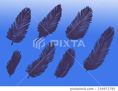 鳥的羽毛 134971795