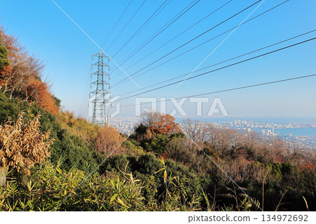 Mountains, pylons and a seaside town 134972692