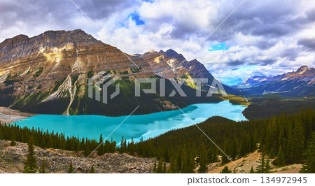Panorama Peyto Lake Turquoise Water and Mountain Peaks with Evergreen Forest 134972945