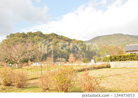 在太宰府市立山腳下漫步 在太宰府市立山腳下漫步 134973053