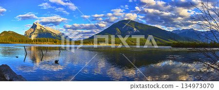 Panorama of Vermillion Lakes Mountain Reflections Water and Birds in Vibrant Sunset Light 134973070