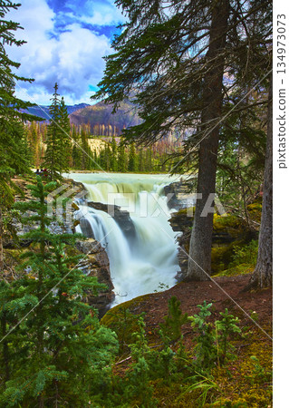 Athabasca Falls Waterfall With Evergreen Forest And Mountain Landscape Canada 134973073
