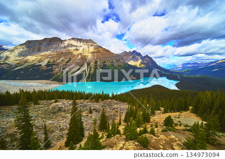 Peyto Lake Turquoise Water with Mountain Peaks and Dense Forest in Banff Canada Peyto Lake Turquoise Water with Mountain Peaks and Dense Forest in Banff Canada 134973094