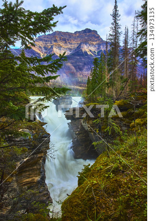 Waterfall Flowing Through Forest Canyon with Majestic Mountain in Background 134973135