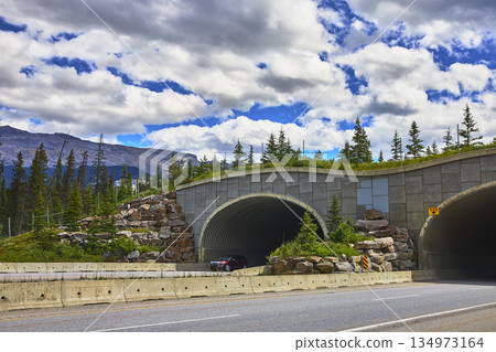 Wildlife Overpass Highway and Forest Mountain Landscape in Banff Canada Wildlife Overpass Highway and Forest Mountain Landscape in Banff Canada 134973164