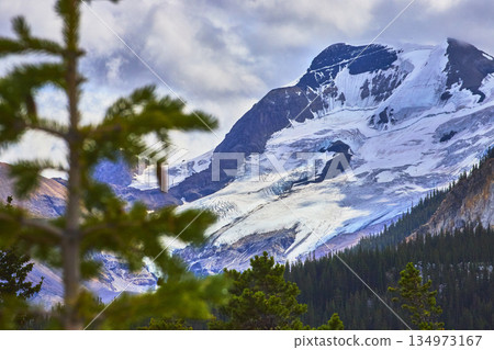 Glacier and Mountain Landscape with Evergreen Forest in Jasper Canada 134973167
