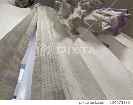 Close-up of black mold spreading to the bottom of lace curtains 134973180