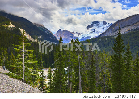 Glacier Mountain Peaks and Evergreen Forest in Jasper Canada Alpine Wilderness 134973418
