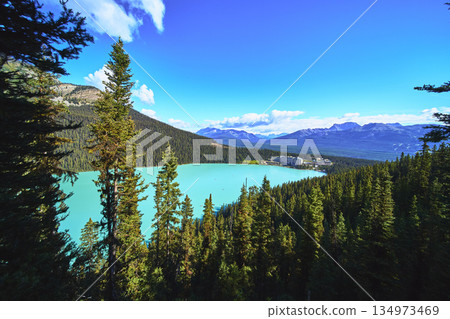 Lake Louise Turquoise Water Surrounded by Pine Forest and Mountain Peaks Canada Lake Louise Turquoise Water Surrounded by Pine Forest and Mountain Peaks Canada 134973469