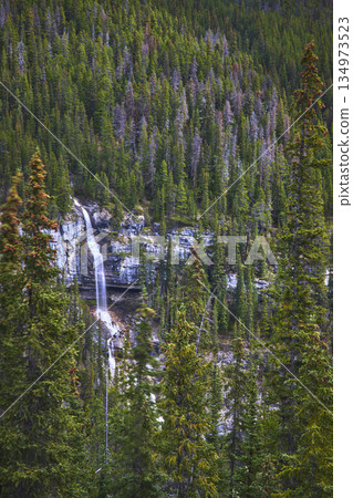 Waterfall Flowing Down Rocky Cliff Surrounded By Dense Evergreen Forest Waterfall Flowing Down Rocky Cliff Surrounded By Dense Evergreen Forest 134973523