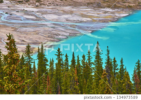 Peyto Lake Turquoise Water and Evergreen Forest Edge with Rocky Shoreline Peyto Lake Turquoise Water and Evergreen Forest Edge with Rocky Shoreline 134973589