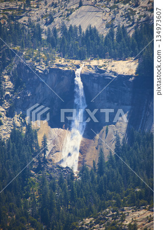 Yosemite Waterfall from Glacier Point with Granite Cliffs and Pine Forest Scenery 134973607