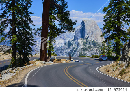 Winding Mountain Road with Pine Trees and Half Dome in Summer Yosemite National Park 134973614