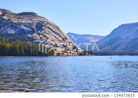 Granite Dome Pine Forest and Blue Water at Tenaya Lake Yosemite National Park Granite Dome Pine Forest and Blue Water at Tenaya Lake Yosemite National Park 134973633