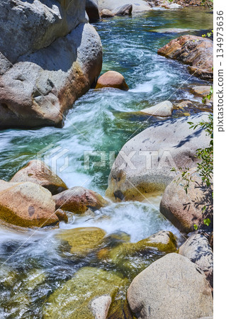 Rushing River and Sunlit Boulders in Sequoia National Park California 134973636