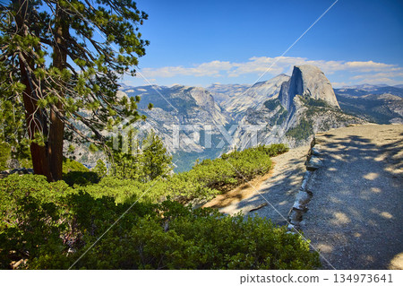 Half Dome and Pine Tree View from Glacier Point Yosemite National Park California Half Dome and Pine Tree View from Glacier Point Yosemite National Park California 134973641