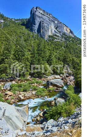 Granite Peak Forest and Merced River Flowing through Yosemite National Park Granite Peak Forest and Merced River Flowing through Yosemite National Park 134973646