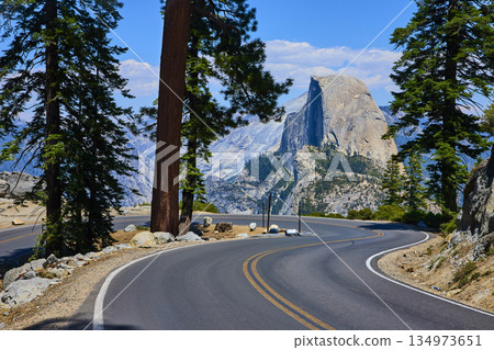 Winding Road Through Pine Trees and Scenic View of Half Dome Yosemite 134973651
