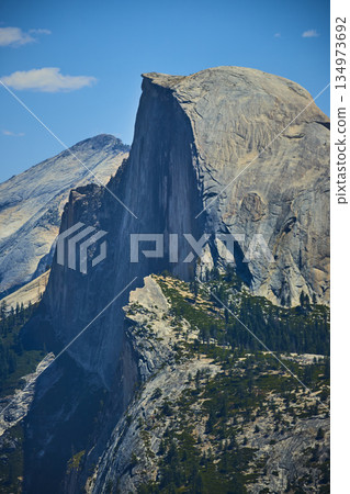 Half Dome Granite Peak and Forested Slopes in Yosemite National Park California Half Dome Granite Peak and Forested Slopes in Yosemite National Park California 134973692