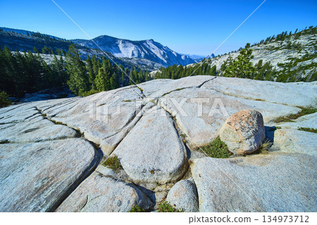 Olmsted Point Granite Half Dome and Pine Forest in Yosemite National Park Olmsted Point Granite Half Dome and Pine Forest in Yosemite National Park 134973712