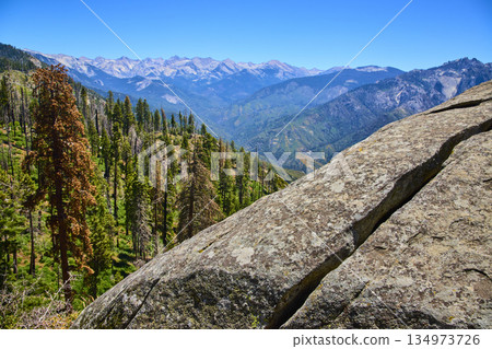 Moro Rock Granite Outcrop Sequoia Forest and Sierra Nevada Mountains California Moro Rock Granite Outcrop Sequoia Forest and Sierra Nevada Mountains California 134973726