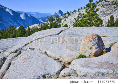 Granite Outcrop and Pine Trees with Distant Half Dome in Yosemite National Park 134973770