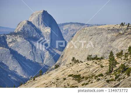 Half Dome Granite Formations and Pine Trees at Olmsted Point Yosemite California 134973772