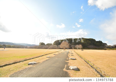 Scenery of the Tofuro ruins 134973788