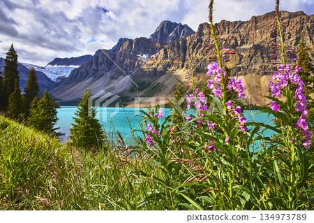 Wildflowers and Turquoise Lake with Majestic Mountain Backdrop in Vibrant Summer Light 134973789