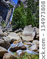 Yosemite Lower Falls Lush Green Trees and Rocky Stream in California 134973808