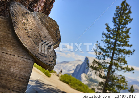 Wooden Hat Sign with Half Dome and Pine Tree in Yosemite National Park California 134973818