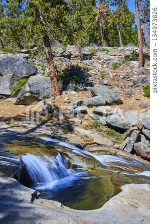 Marble Fork Kaweah River Cascade with Granite Rocks and Pine Trees in Sunlight Marble Fork Kaweah River Cascade with Granite Rocks and Pine Trees in Sunlight 134973826