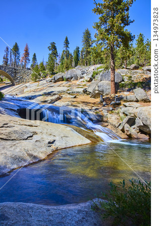 Riverside Stone Bridge and Pine Forest with Flowing Waterfall in Bright Sunlight 134973828