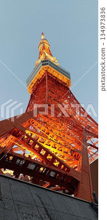 Tokyo Tower 45° Light Up Tokyo Tower 45° Light Up 134973836
