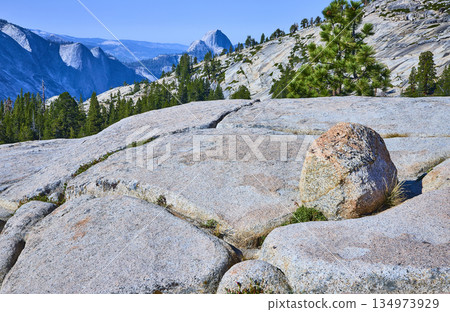 Granite Boulders Pine Trees and Iconic Half Dome View at Olmsted Point Yosemite 134973929