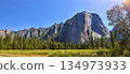 Cathedral Rock Yosemite Panoramic View with Forest and Meadow in California 134973933