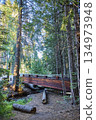 Wooden Footbridge Among Sequoia Trees and Creek in Sunlit Forest Trail 134973948